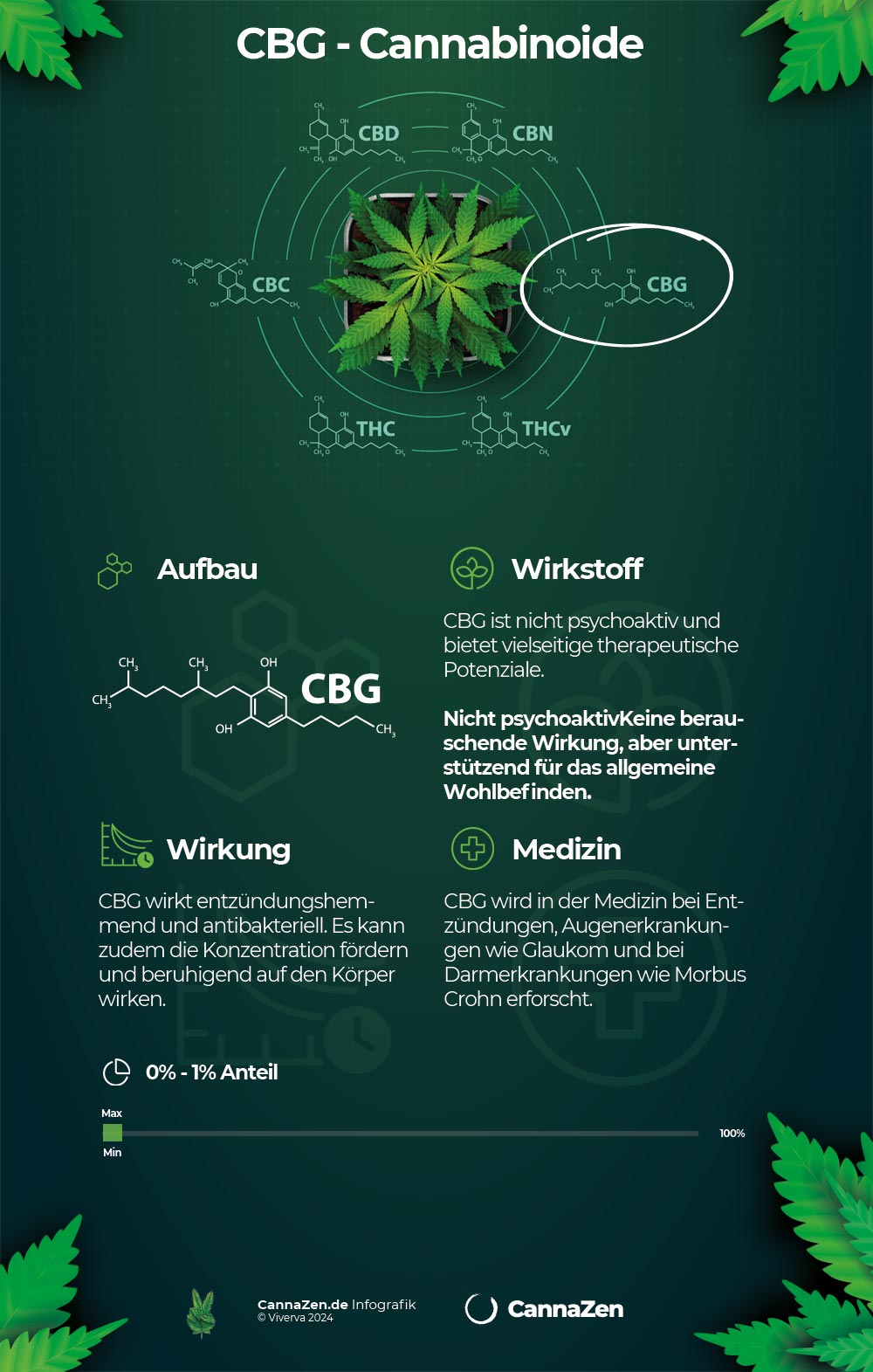 CBG Mutter-Cannabinoid Infografik: antibakteriell, 0-1% Anteil, Glaukom und Morbus Crohn